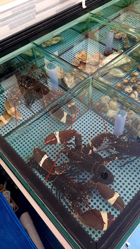 Opinii despre Marintavola sas în Anzio - Ristorazione