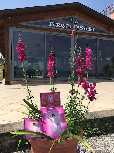 Opinii despre Ristorante IL TURISTA în Gubbio - Ristorazione