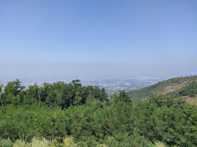 Opinii despre Ristorante Vesum în Ercolano - Ristorazione