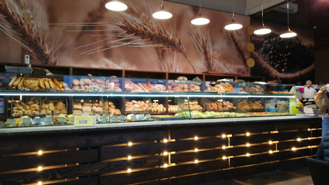 Rudis Materias - Borgomanero