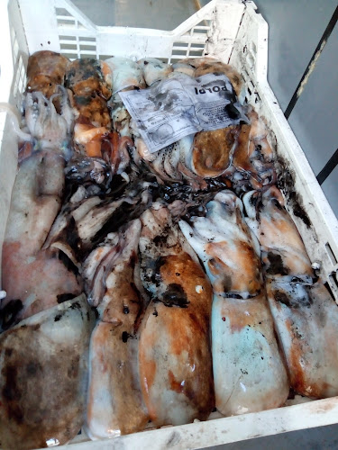 Pescheria Piporittica - Barcellona Pozzo di Gotto