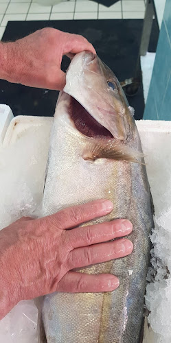 Opinii despre Cuoco di Mare - Ittica D'Onofrio în Arzano - Ristorazione