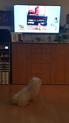 Granduca Taormina Open Times