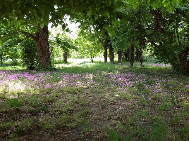 Reviews of Henry Merlo Factory in Salizzole - Ristorazione