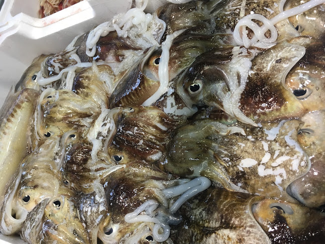 Reviews of Pescheria Il Battello in Pescara - Ristorazione