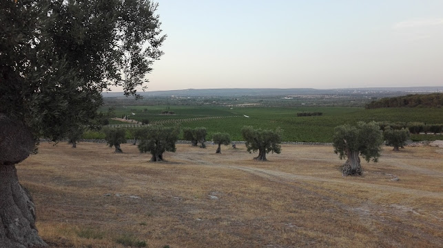 Strada Provinciale 42, SP42, 74012 Crispiano TA