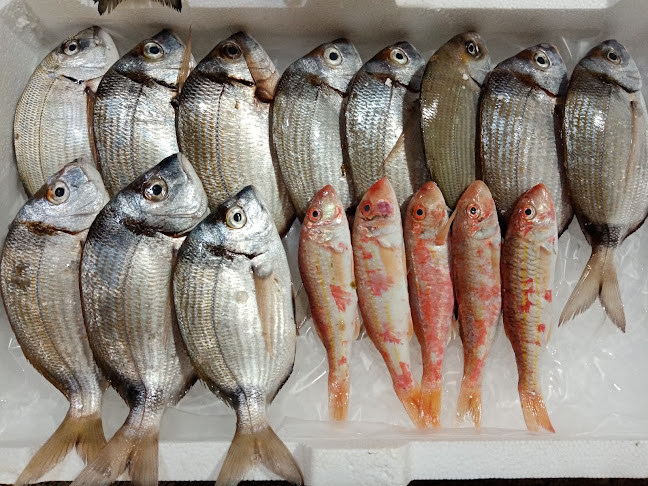 Pescheria Giannuzzi - Ristorazione