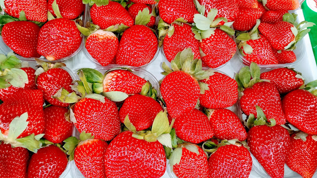 Ortofrutta Perini - Ristorazione