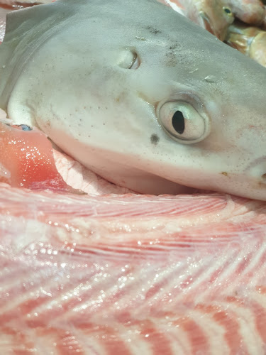 Pescheria Il Battello - Ristorazione