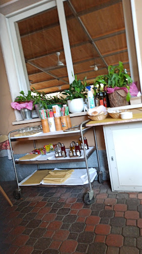 Ristorante Pizzeria Primavera - Ristorazione