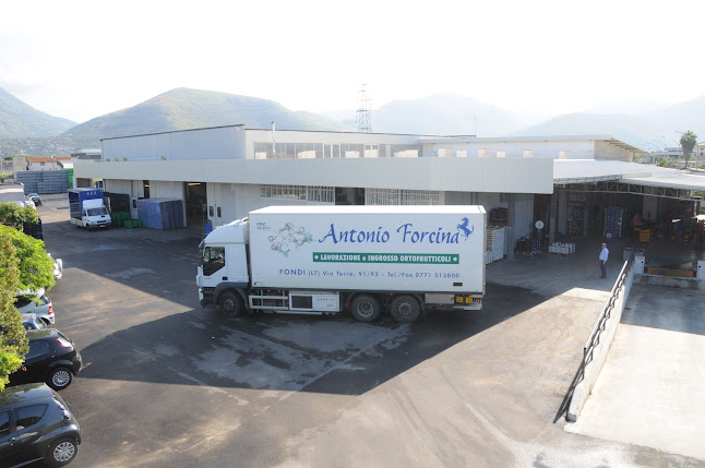 Opinii despre Antonio Forcina în Fondi - Ristorazione