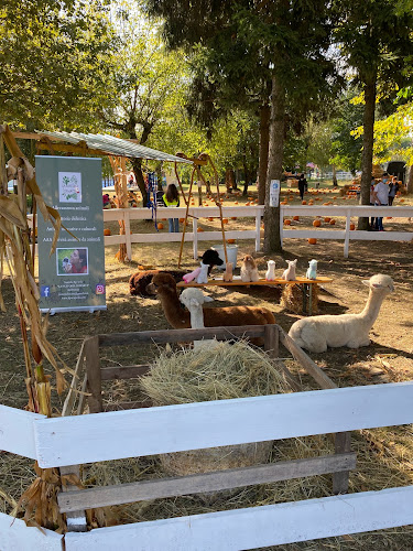 Il Villaggio delle Zucche - Ristorazione