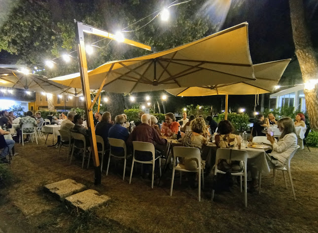 Via Giacomo Puccini, 2, 61032 Fano PU