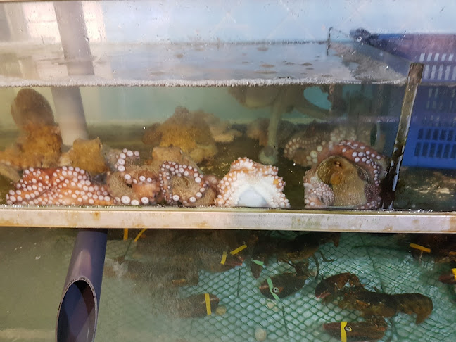 Corso Italia, 273, 80063 Piano di Sorrento NA