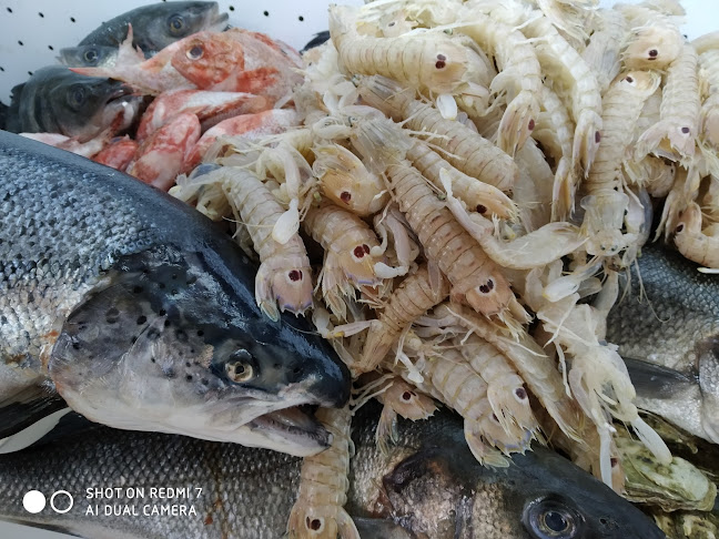 Piazza di Porta S. Felice, 11a, 40122 Bologna BO