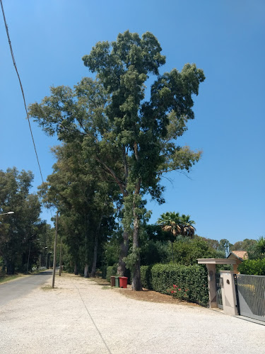 Campana - Ristorazione