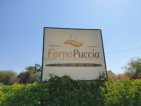 FORNO PUCCIA
