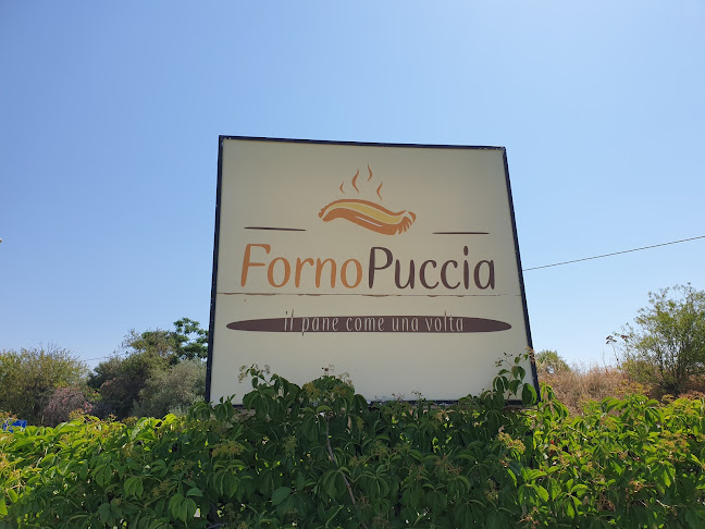 FORNO PUCCIA