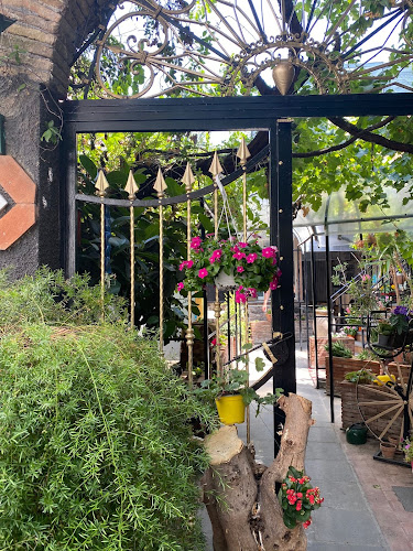 Opinii despre Ristorante Pizzeria La Vite în Biancavilla - Ristorazione