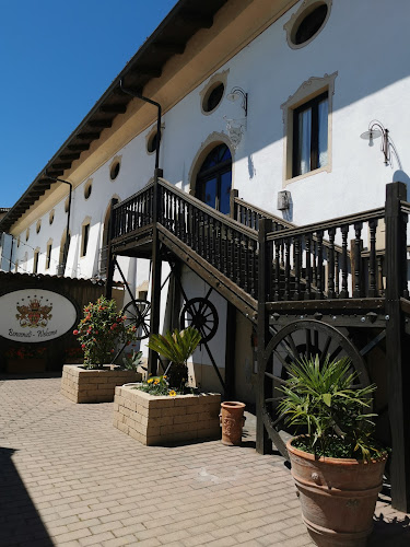 Reviews of Ristorante Tenuta Valminier in Villanova d'Asti - Ristorazione