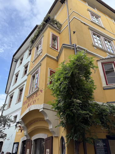 Comentarii opinii despre Hopfen & Co.