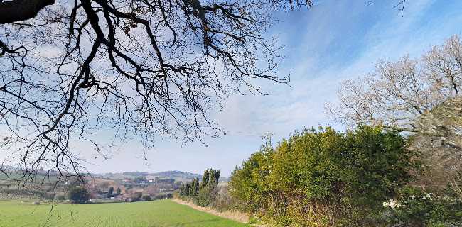 Osteria dell'Arca - L'arca Di Noãˆ - Ristorazione
