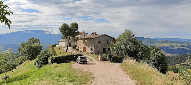 Località Palazzi, 4, 61048 Sant'Angelo in Vado PU