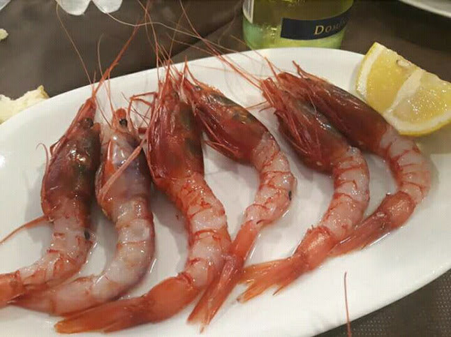 Via Ludovico Ariosto, 16, 70043 Monopoli BA