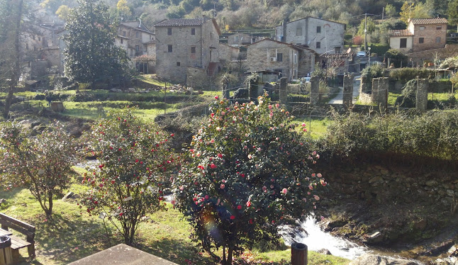 Opinii despre Ristorante La Baita în Capannori - Ristorazione