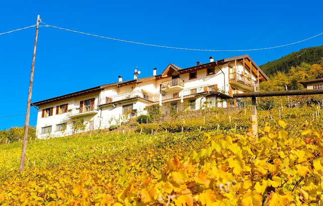 Agriturismo La Lanterna - Lavis