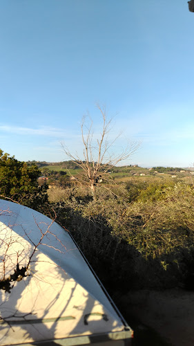 Osteria dell'Arca - L'arca Di Noãˆ - Senigallia