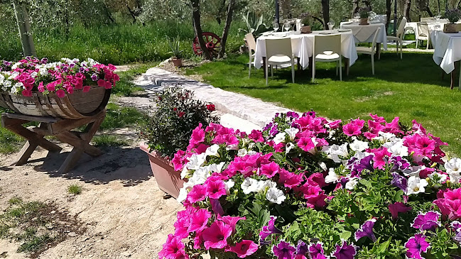 Comments and reviews of Ristorante pizzeria Panoramic Club