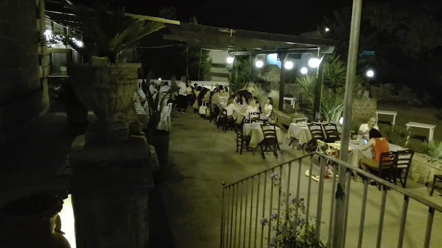 Novecento - Ristorazione