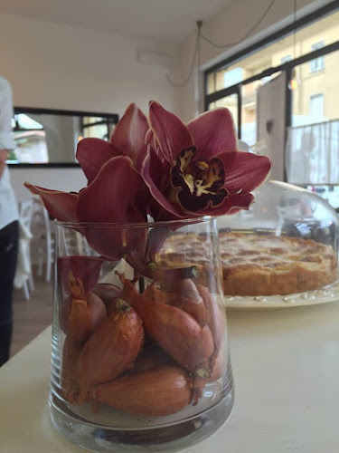 Sorsi e Morsi Sabaudia - Sabaudia