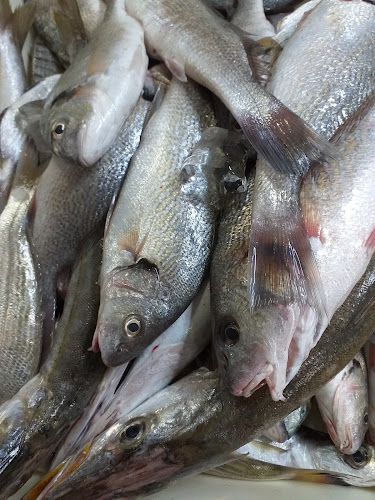 Ristorante Buonumore - Ristorazione