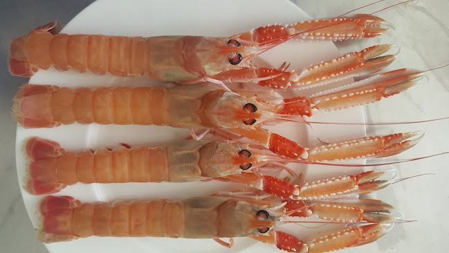 Reviews of Ruris Ristorante in Isola di Capo Rizzuto - Ristorazione