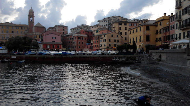 Comentarii opinii despre Pinsotto