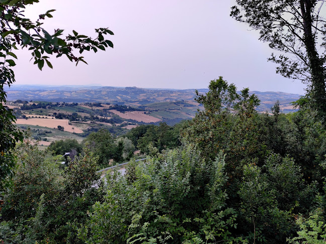 Ristorante Pizzeria il Coccaro - Ristorazione