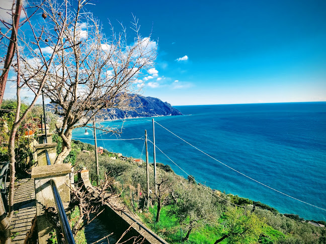 Trattoria Al Serraglio - Sori