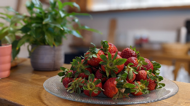 Opinii despre Acquasale în Alba - Ristorazione