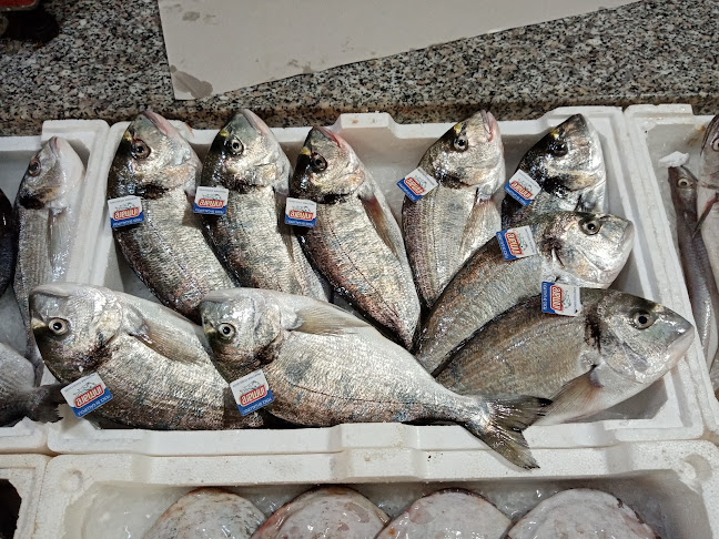 Via Conciliazione Laterano, 22, 73026 Melendugno LE