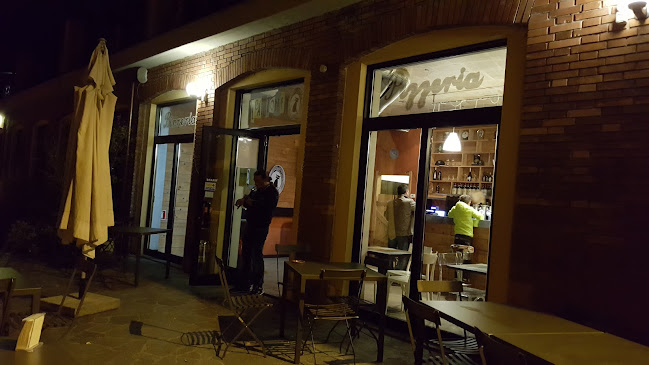 ILGATTONERO pizzeria birreria - Merate