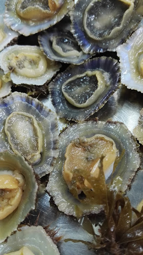 Comentarii opinii despre Ristorante Molo Colapesce