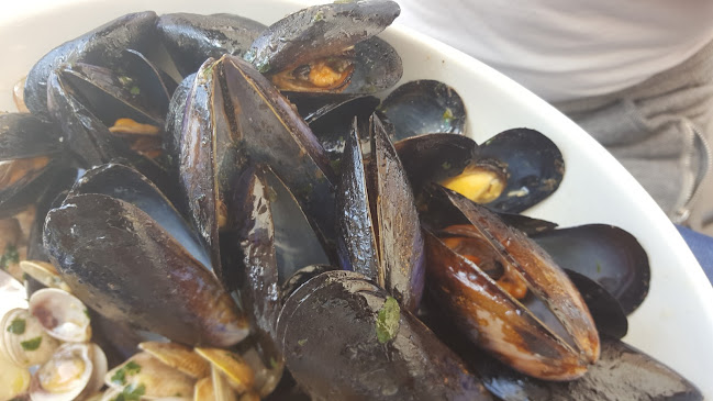 Altamarea Rimini | Ristorante di Pesce | Cucina Romagnola | Piadina | Pizza | Burger - Ristorazione