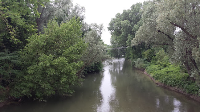 Pescheria E Gastronomia Al Ponte - Ristorazione