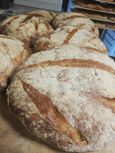 Ops osteria della pizza a spasso - Ristorazione