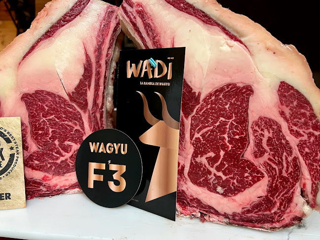 Via Alceo Cattalochino, 8, 07100 Sassari SS