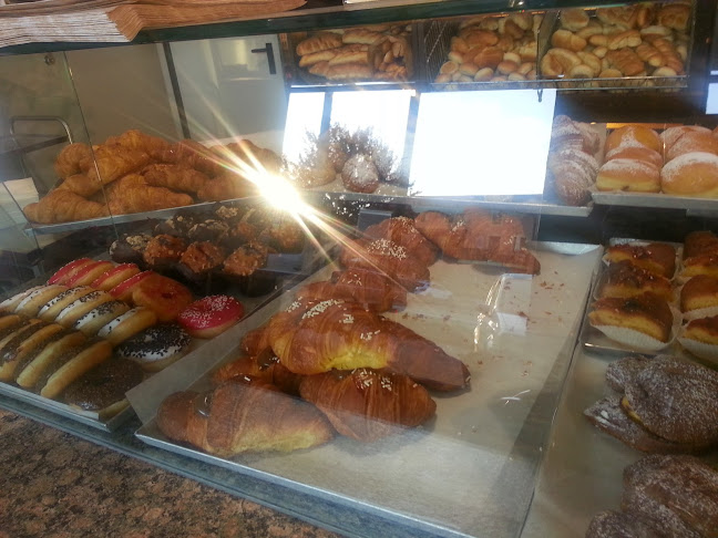 Comentarii opinii despre Rudis Materias