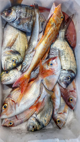 Via Cesare Carmignano, 51/53/55, 80142 Napoli NA