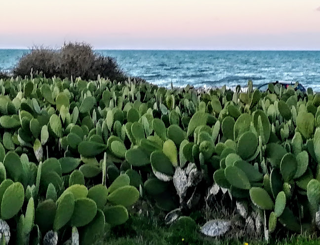 Reviews of F.LLI ALTAMURA srl in Molfetta - Ristorazione